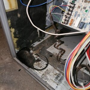 mobile home duct cleaning